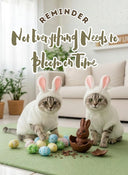 Reminder: not everything needs to bloom on time.