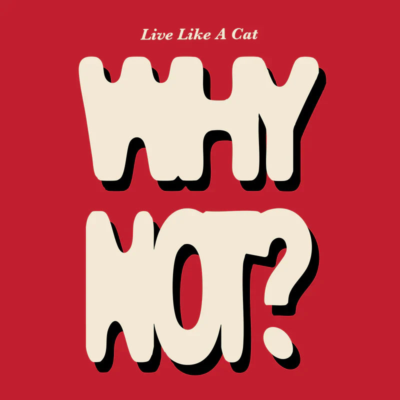 Why Not? A Cat’s Guide to Stopping Brain Rot.