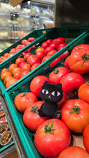 Bag Charm - Classic Toby