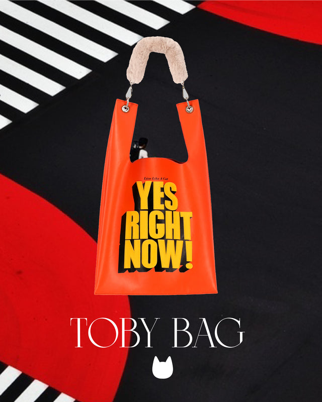 Design Story Image 3