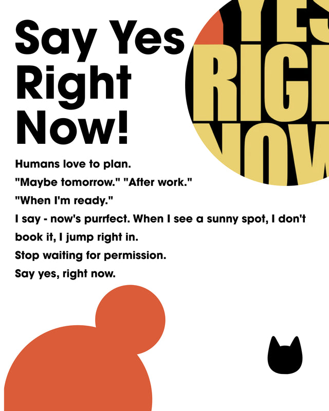 Design Story Image 2