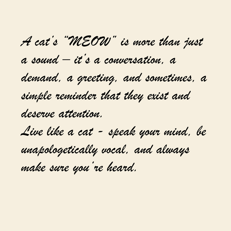 Design Story Image 2