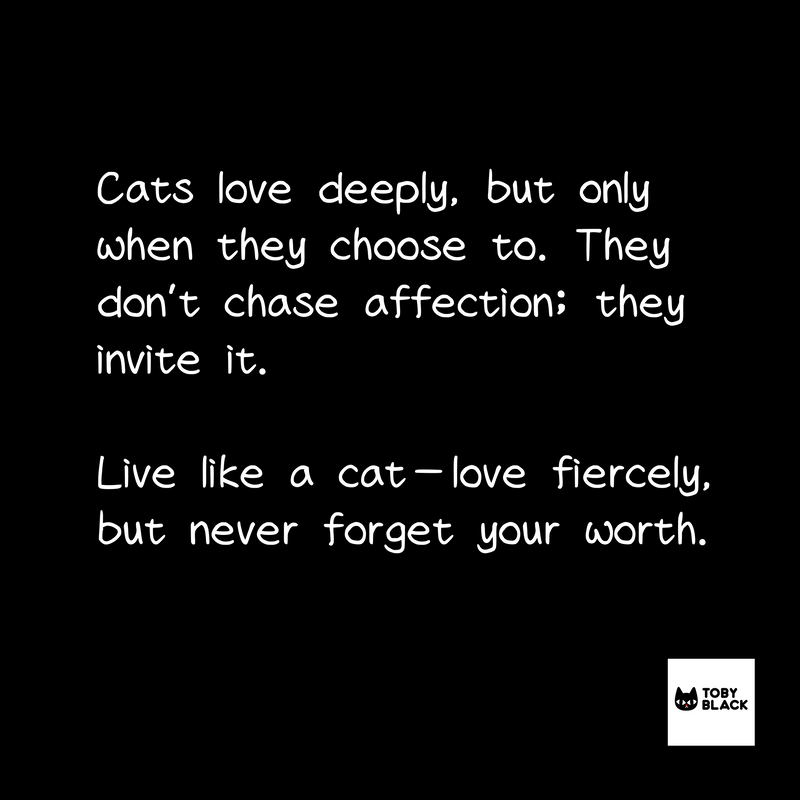 Design Story Image 2