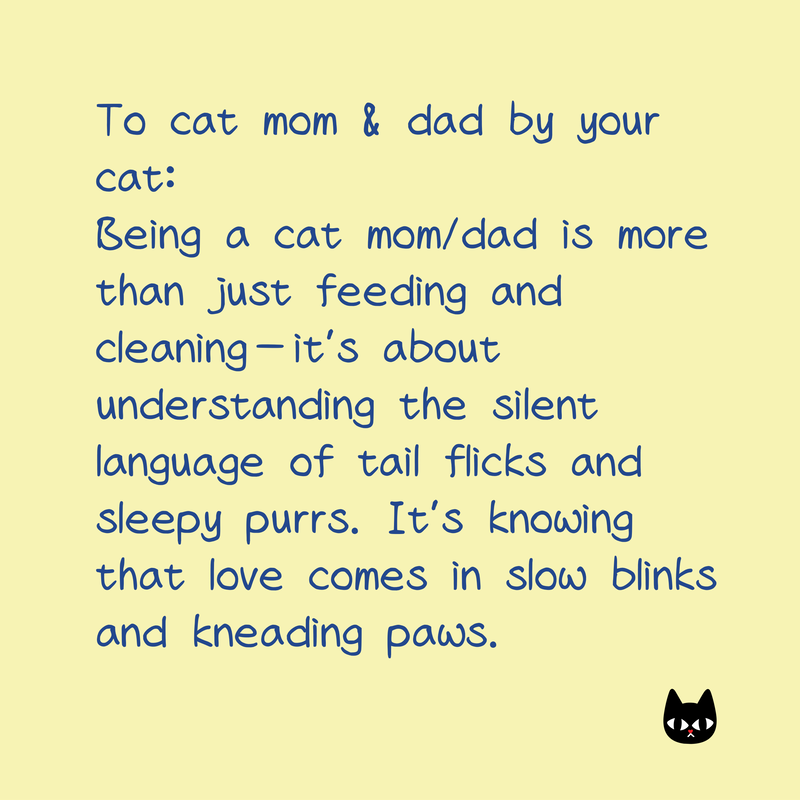 Design Story Image 2