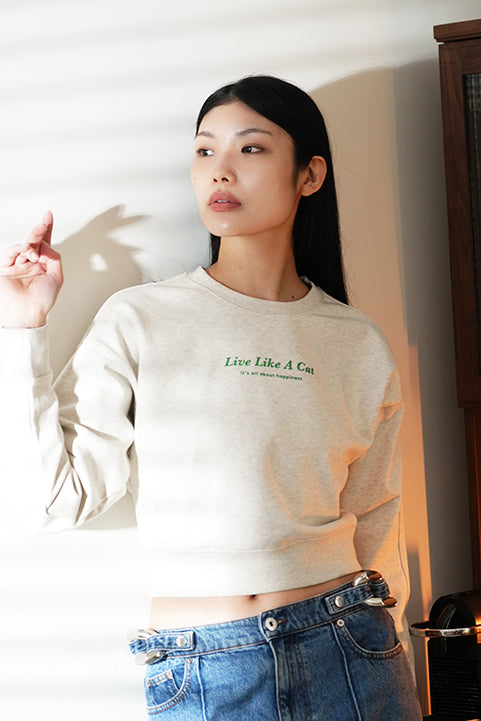 Model wearing gray crop sweatshirt with high-waisted jeans.