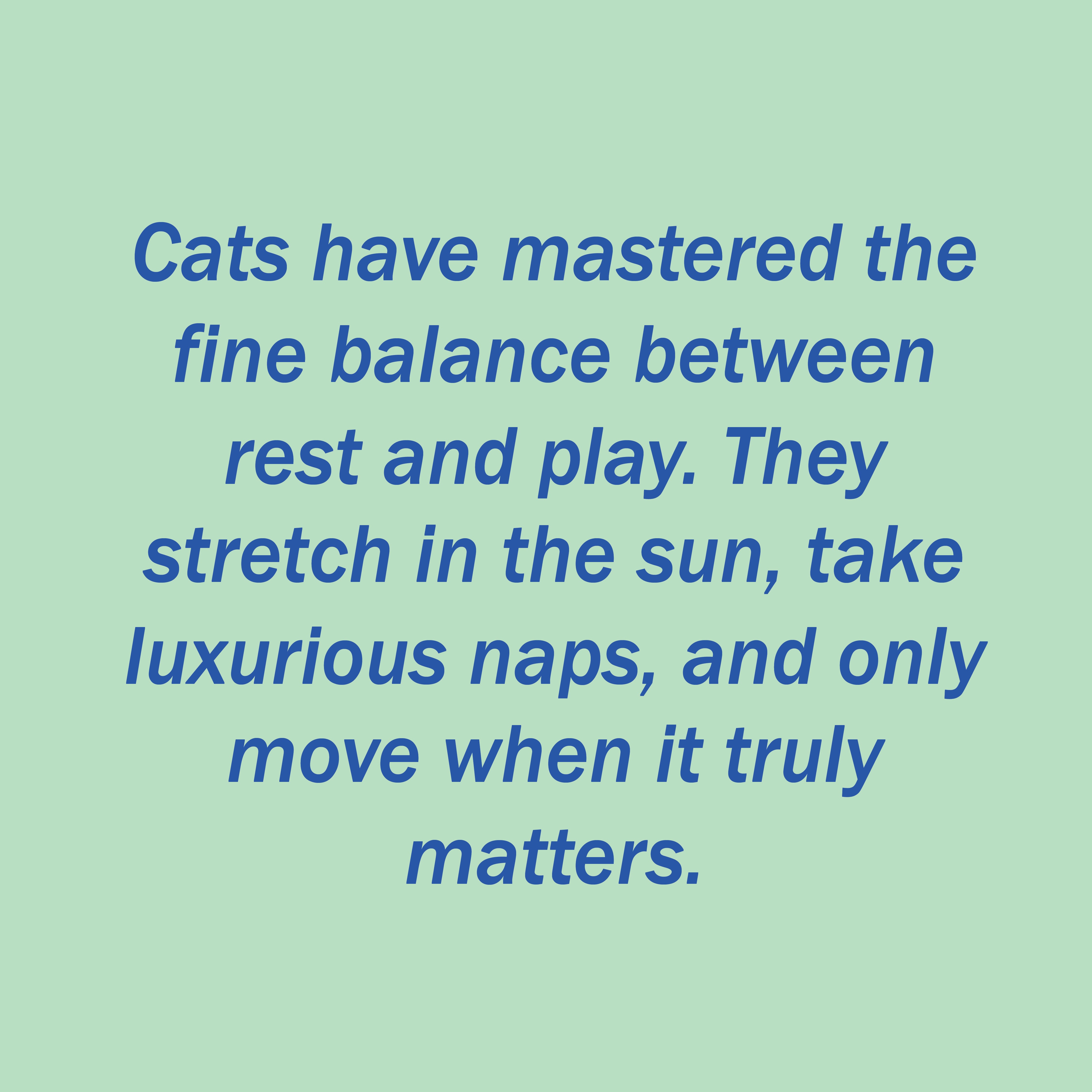 TobyBlack-Live like A Cat-LLAC FR BAG-Toby Bag-Elegant Minimalist Tote | French-Inspired Handbag | Relaxed Lifestyle Fashion | Mindful Everyday Bag | Stylish Shoulder Bag