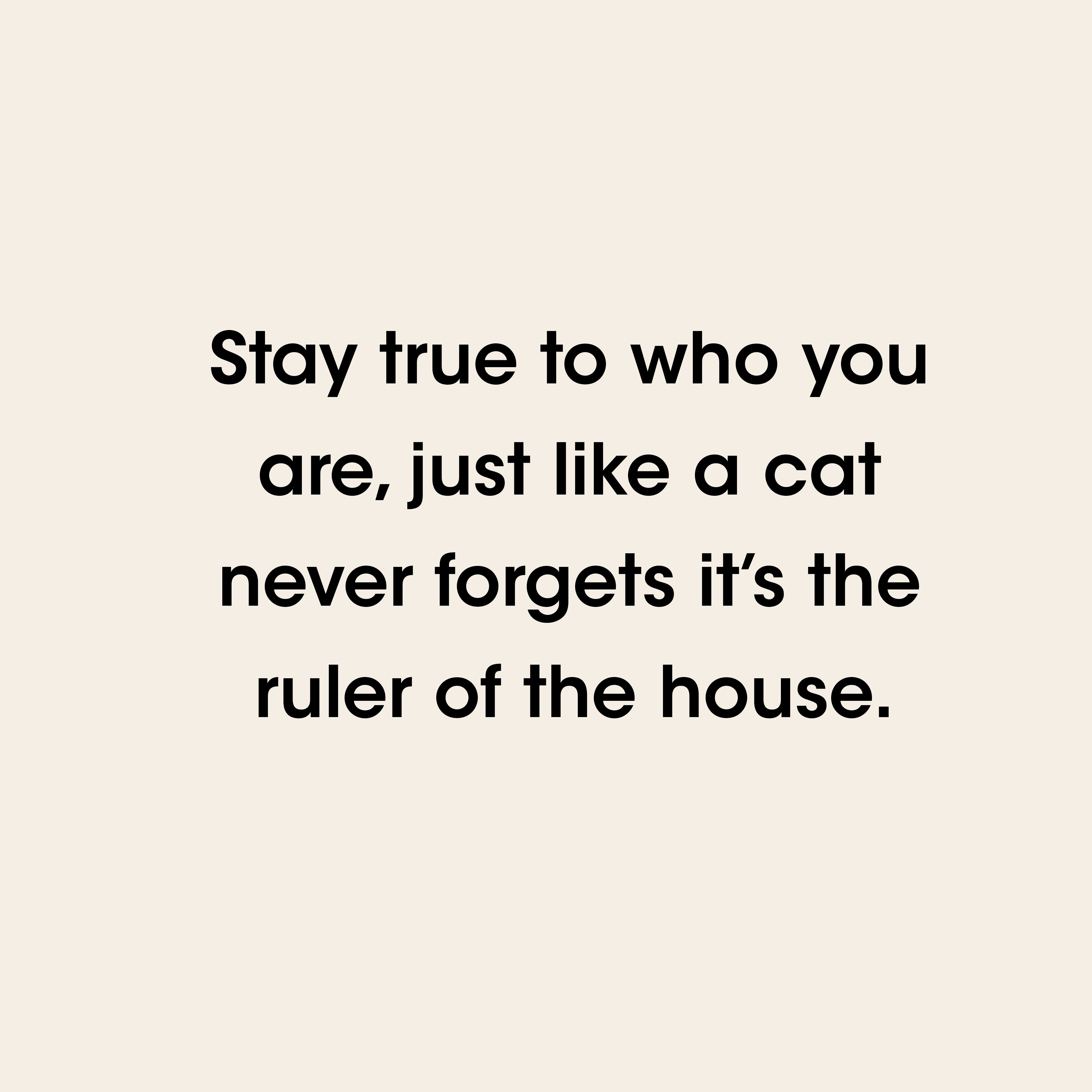 TobyBlack-Live like A Cat-Candy Toby Bag-Bold Statement Tote | Playful Print Handbag | Artistic Fashion Bag | Lightweight Shoulder Bag | Self-Expression Tote