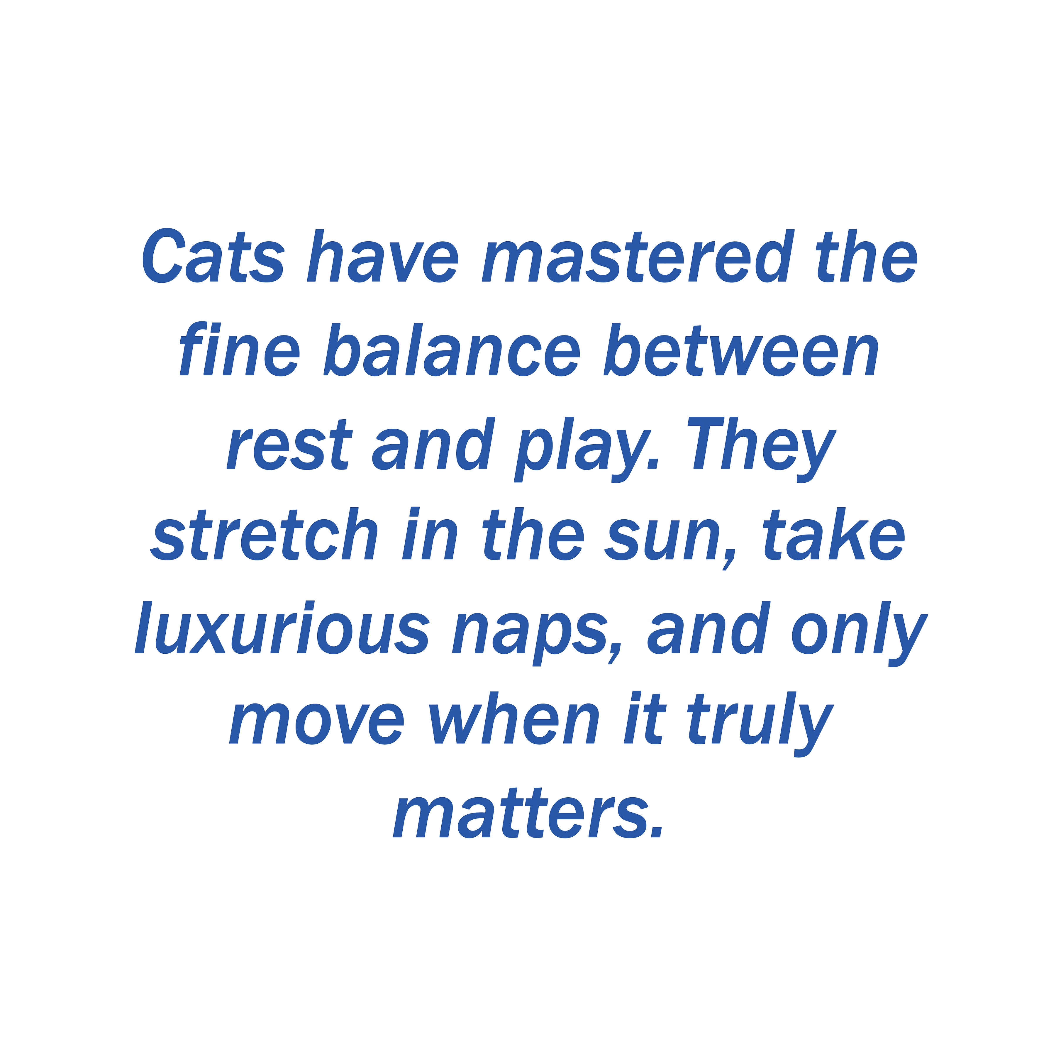 TobyBlack-Live Like A Cat-VIVRE COMME UN CHAT Unisex Oversized T shirt-French Style T-Shirt | Elegant Minimalist Tee | Cat-Inspired Fashion | Parisian Clothing | Slow Living Apparel