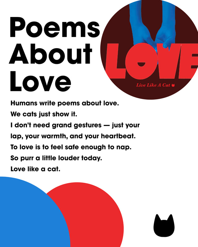 Design Story Image 2