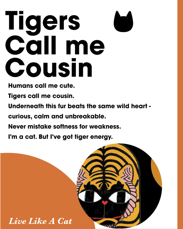 Design Story Image 2