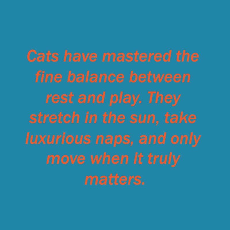 Design Story Image 1