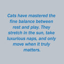 "Live Like A Cat" Unisex Classic Fit T shirt Vintage Washed GREY