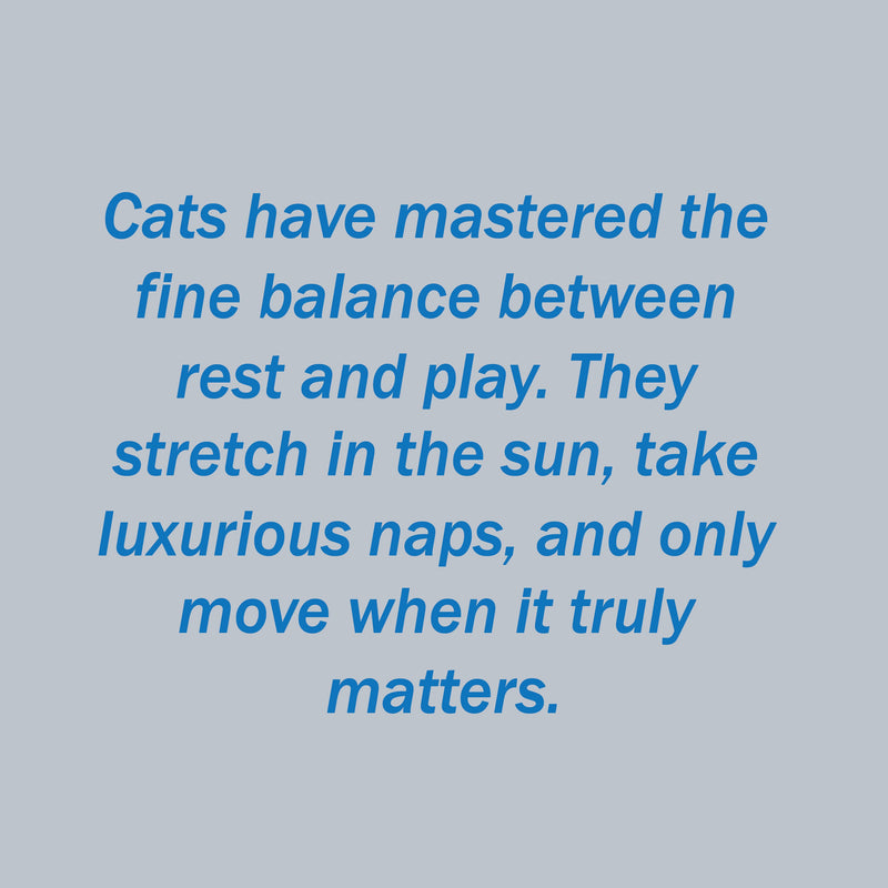 Design Story Image 1