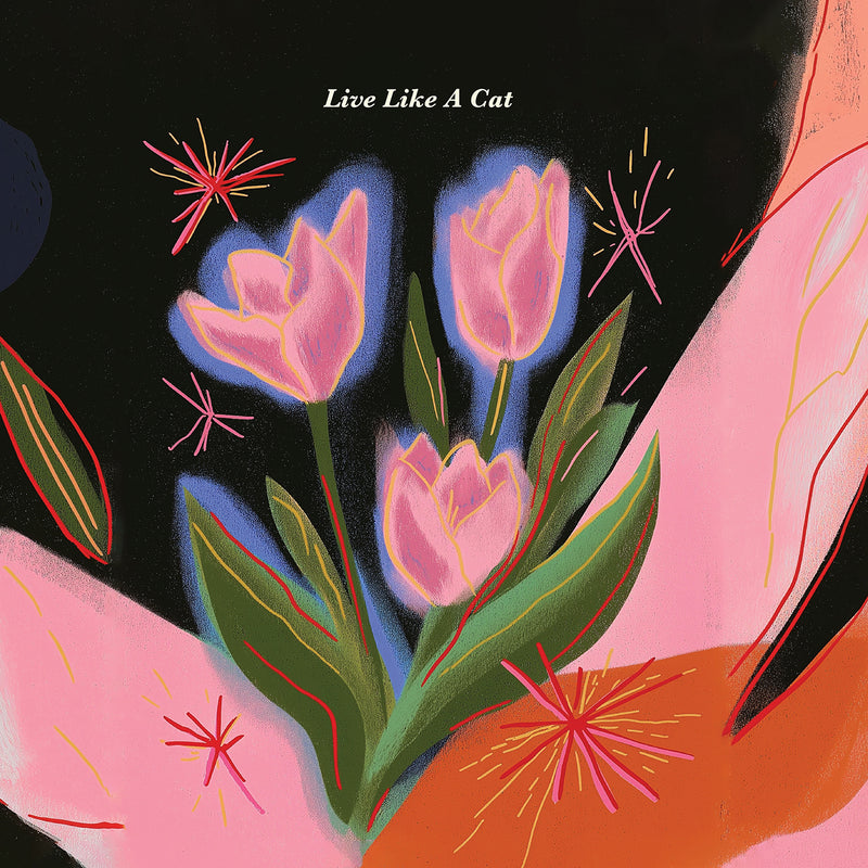 Design Story Image 1