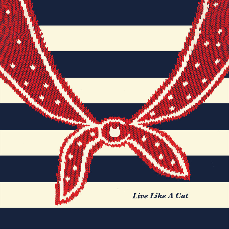 Design Story Image 1